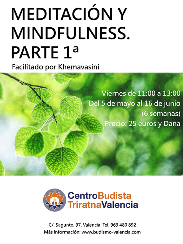 Las dos formas de meditaci n budista Samatha y Vipassana